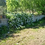 Apartamento Ianus Tergu