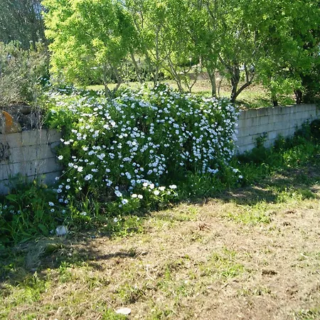 דירה Ianus Tergu