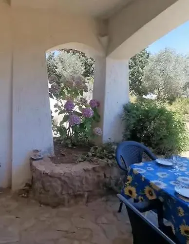 Apartman Ianus Tergu